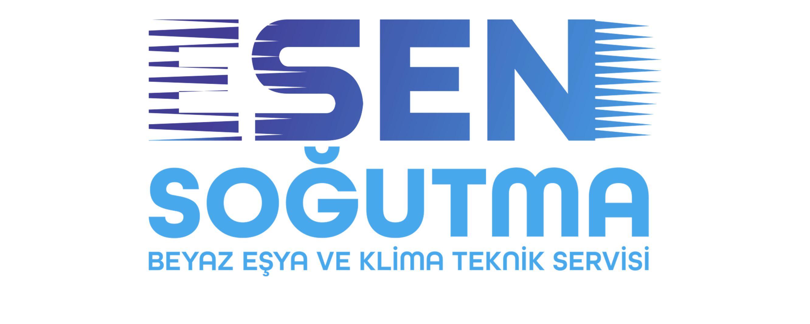 logo1